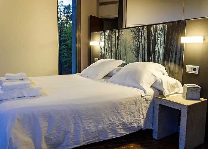 Nola * San Sebastián