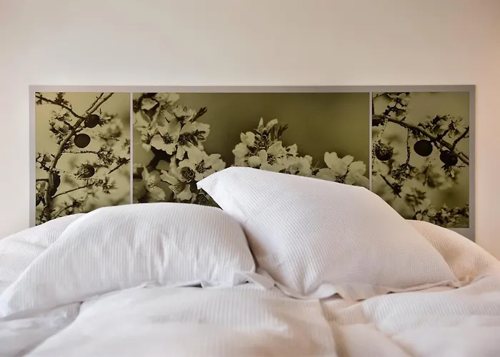 Villa Nola San Sebastián